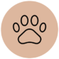 pet friedly cuenca-12